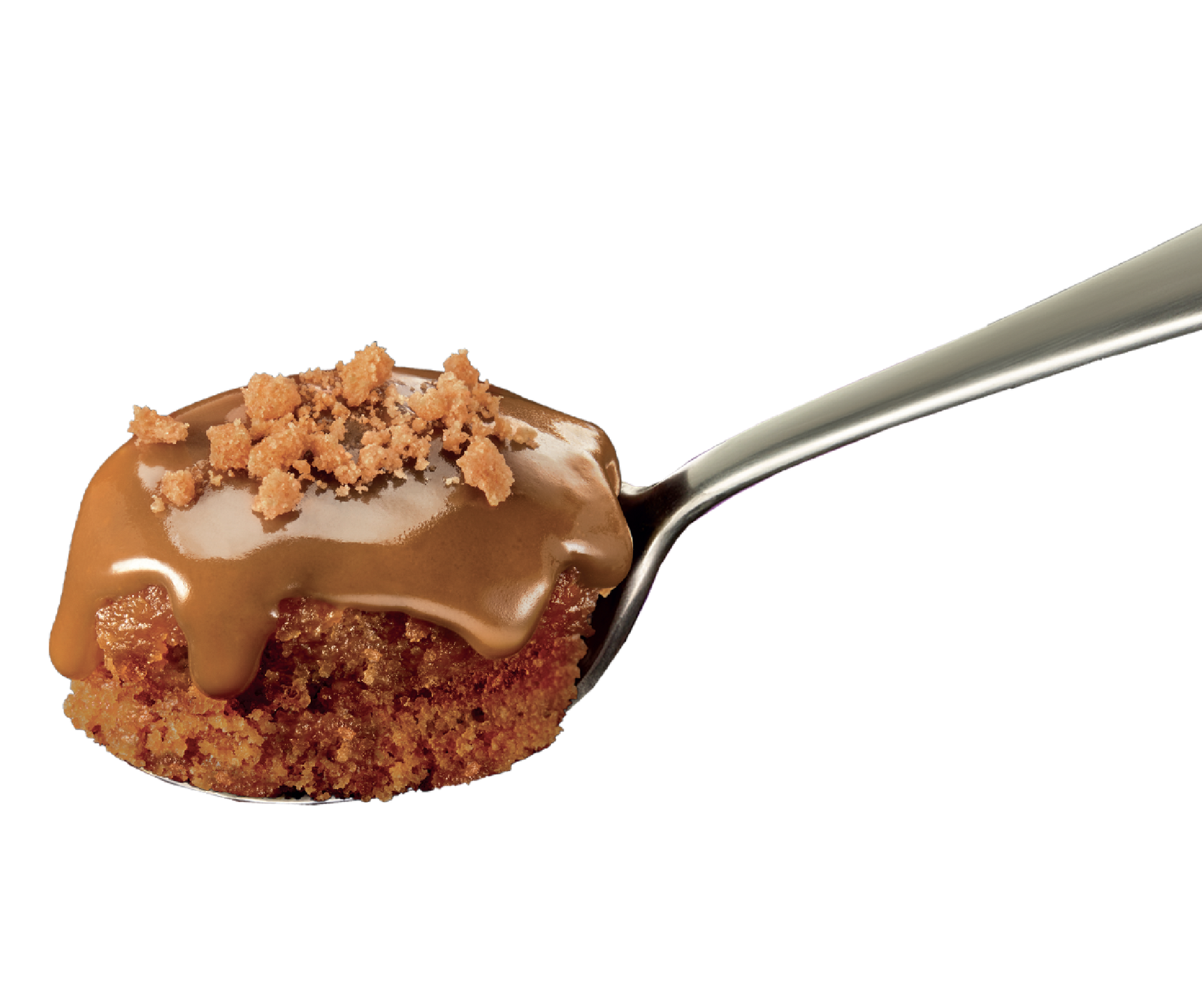 spoon-image gu speculoos sponge hot puds